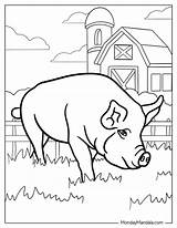 30 Pig Coloring Pages Free PDF Printables sketch template