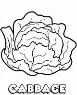 Coloring Pages  Page Vegetable For Children Cabbage sketch template