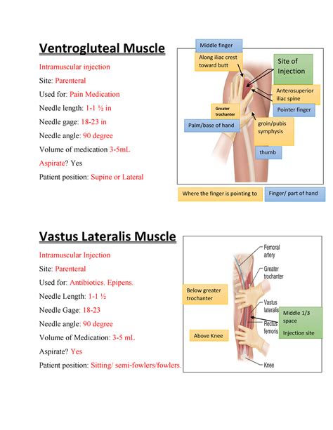 Ventrogluteal Injection Landmarks