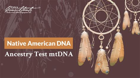 Native American DNA Ancestry Test mtDNA