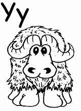 Yak Coloring Pages  Home sketch template