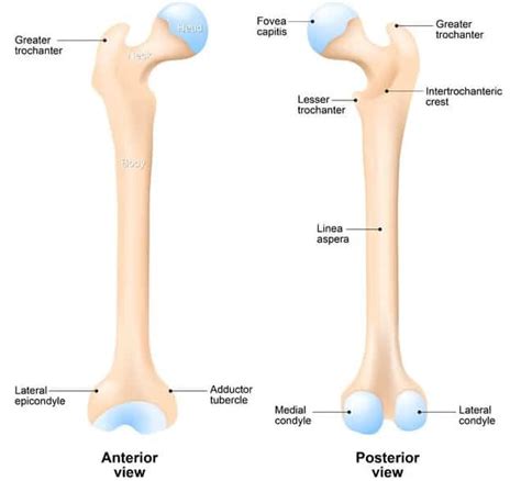 How to Eliminate Pain from Trochanteric Bursitis - Precision Movement