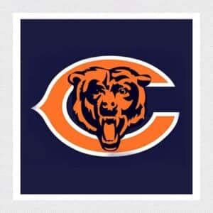 Chicago Bears VIP Packages Tickets 2024/2025