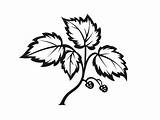 Poison Ivy Coloring Pages Top 11 Free Printable Designs sketch template