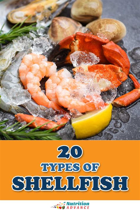 18 Types of Shellfish: a Nutritional Guide - Nutrition Advance