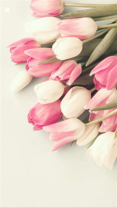 Pin by • Eloise • • on Cover/Wallpaper pics | Flower iphone wallpaper, Flower wallpaper, Trendy ...