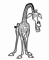 Melman The Giraffe coloring Book To Print And Online sketch template