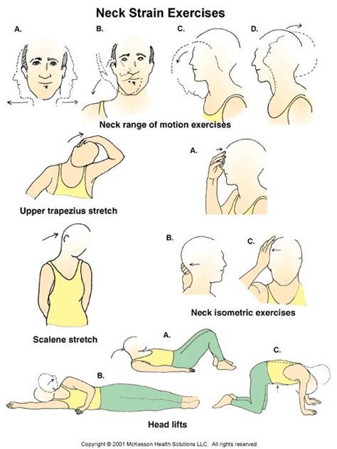 Pin by Susan Stevens on Neck,Back & Posture Exercises | Neck exercises, Neck strain exercises ...