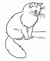 Free Printable Cat Coloring Pages For Kids sketch template
