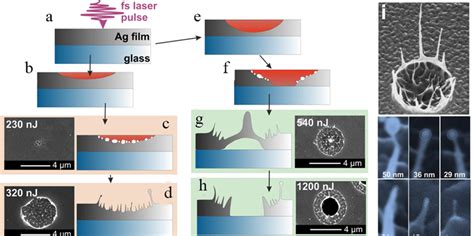 (a-h) Schematic illustration of the spallation process of thermally... | Download Scientific Diagram