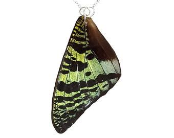Ethically collected real butterfly wing jewelry by BlueGoddessco Wing ...
