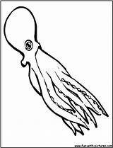 Vampire Squid Coloring Page Coloring Pages sketch template