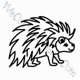 Porcupine Coloring Page At GetColoringscom  Free Printable colorings sketch template