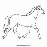 Horse Coloring Pages Free Printable PDF sketch template