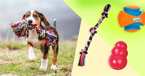 20 best dog toys in 2023, according to experts