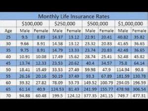 term life insurance rates | Best Insurance Info on the Web