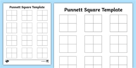 Blank Punnett Square Template (l'insegnante ha fatto)