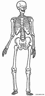 Skeleton Coloring Pages To Print Sketch Page sketch template