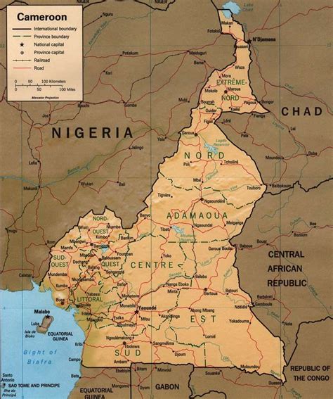 Carte du Cameroun et ses régions | Cameroun, Afrique centrale, Afrique