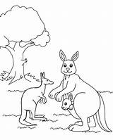 Mother And Baby Kangaroo sketch template