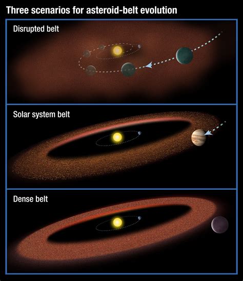 Asteroid Belts and Their Potential Significance for Life