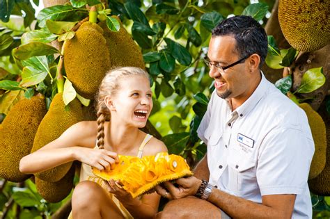 Tropical Fruit World - Byron Visitor Centre