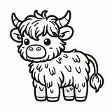 Highland Cow Coloring Pages For Adults Printable  Free Templates sketch template