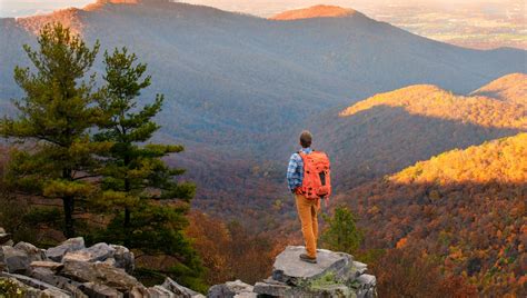 Chasing Fall Colors in Shenandoah National Park