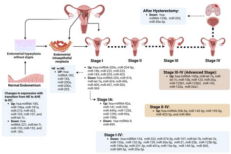 Cancers | Free Full-Text | Circulating and Endometrial Tissue microRNA ...