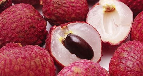 Vietnamese Lychee Season: Everything You Need to Know