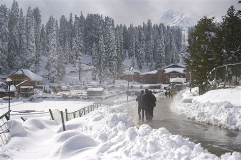 Season's first snowfall in Gulmarg