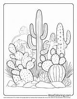 100  Cactus coloring pages Free PDF To Print Woo Coloring sketch template