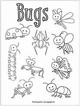 Coloring Pages Of Insects And Bugs sketch template