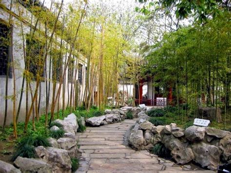 Bamboo In The Garden - A Fascinating And Versatile Plant | Houzz Home