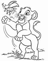 Simba sketch template