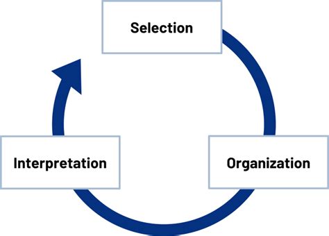 Communication and Perception – Communication in the Real World