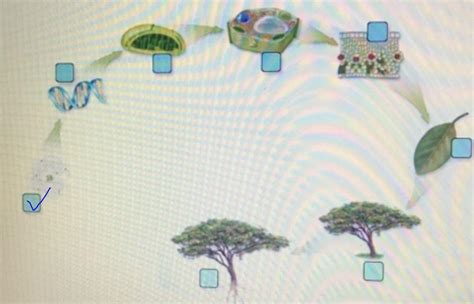 Where do lipids, a class of organic compounds, fit on the hierarchy of biological organization ...