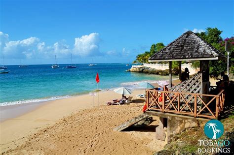 Tobago Bookings | Tobago hotels, Caribbean islands beach, Caribbean travel