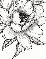 Tips On Sending The Perfect Arrangement Of Flowers – Ideas For Great  sketch template