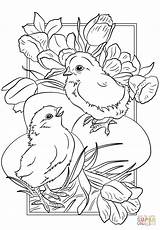 Easter Chicks coloring Page  Free Printable Coloring Pages sketch template