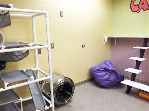 Aurora Animal Shelter Receives Makeover From ASID - Colorado Homes & Lifestyles