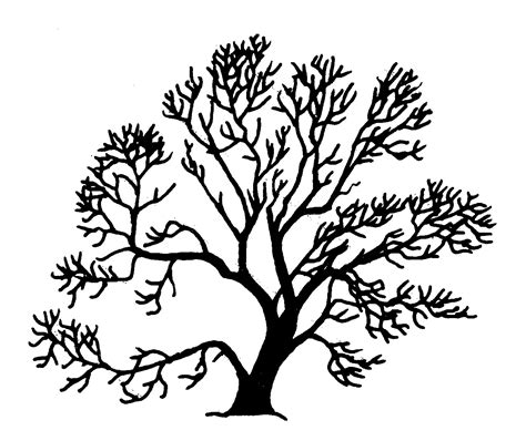 Tree Silhouette Png - ClipArt Best