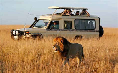 Os 10 melhores fornecedores de safári de 2018 | Safari travel, Kenya safari, Africa safari