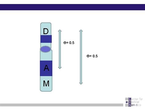 Chapter 10 Human Gene Mapping and Disease Gene