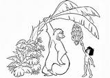 Jungle Book Coloring Pages  Best For Kids sketch template