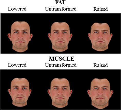 | 2D Male face shape associated with fat mass (top) and muscle mass... | Download Scientific Diagram