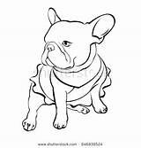 French Bulldog Coloring Pages At GetColoringscom  Free Printable sketch template
