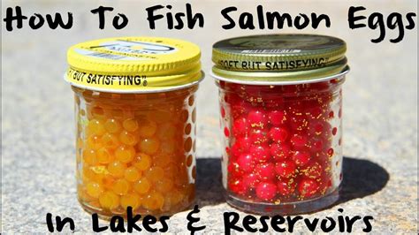 How to Fish Salmon Eggs in Lakes & Reservoirs - YouTube | Salmon eggs, Fish, Trout fishing tips