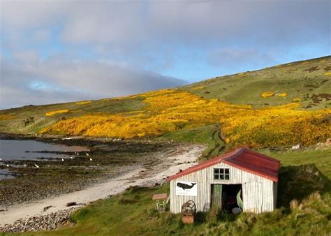 Falkland Islands Holidays 2020 & 2021 | Tailor-Made Falkland Islands Tours | Audley Travel