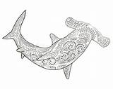 Whale Shark Coloring Pages sketch template